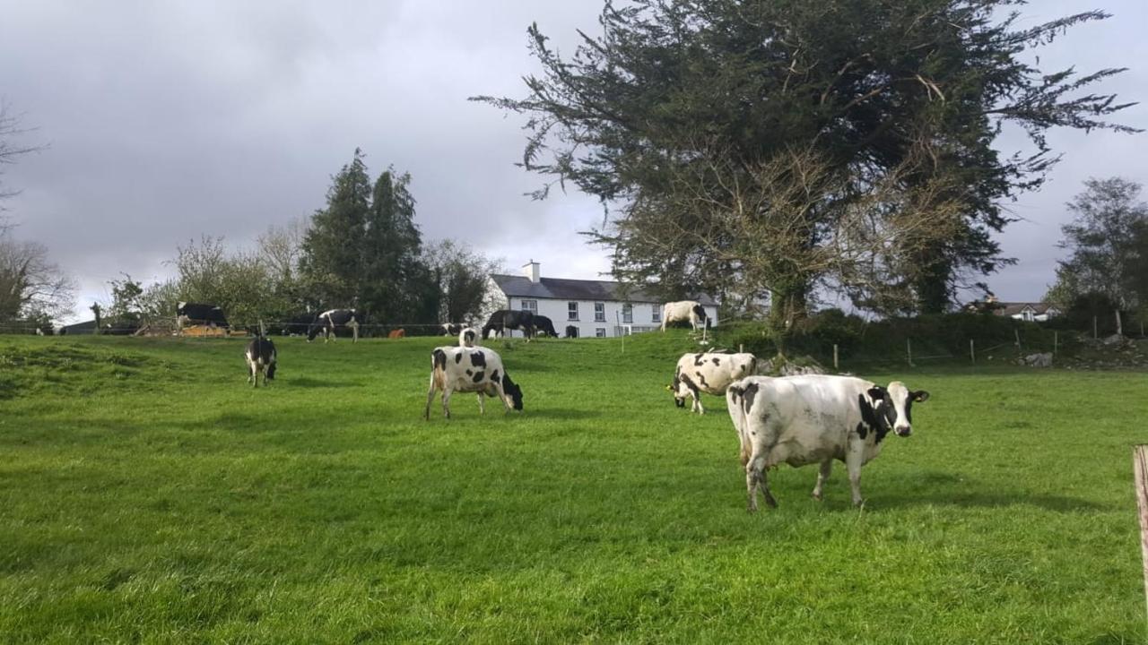 Gortamullen House, Kenmare Bed & Breakfast Bagian luar foto