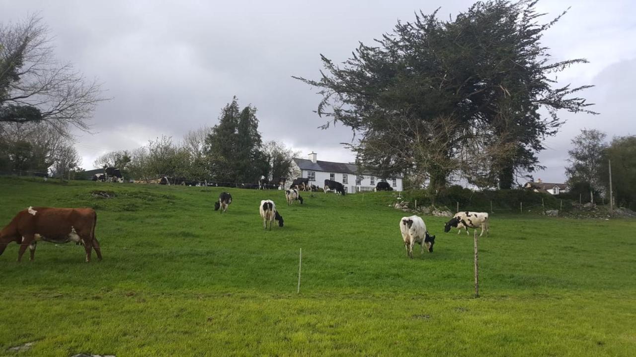 Gortamullen House, Kenmare Bed & Breakfast Bagian luar foto